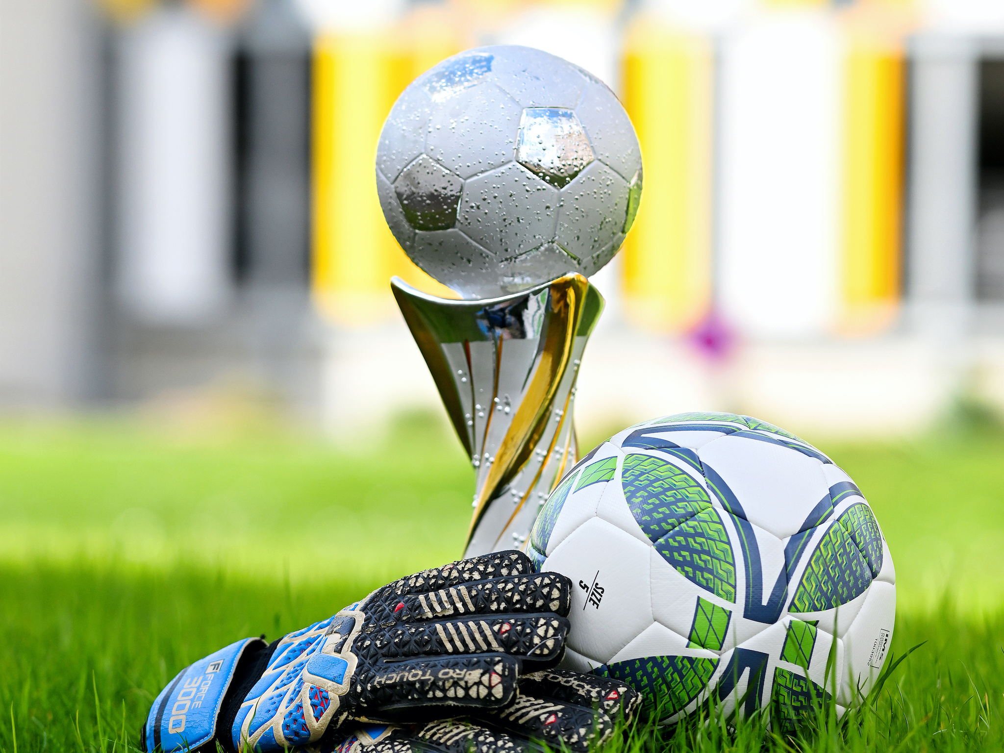 Auf einer Wiese liegen ein Fußball, Handschuhe und ein Pokal.