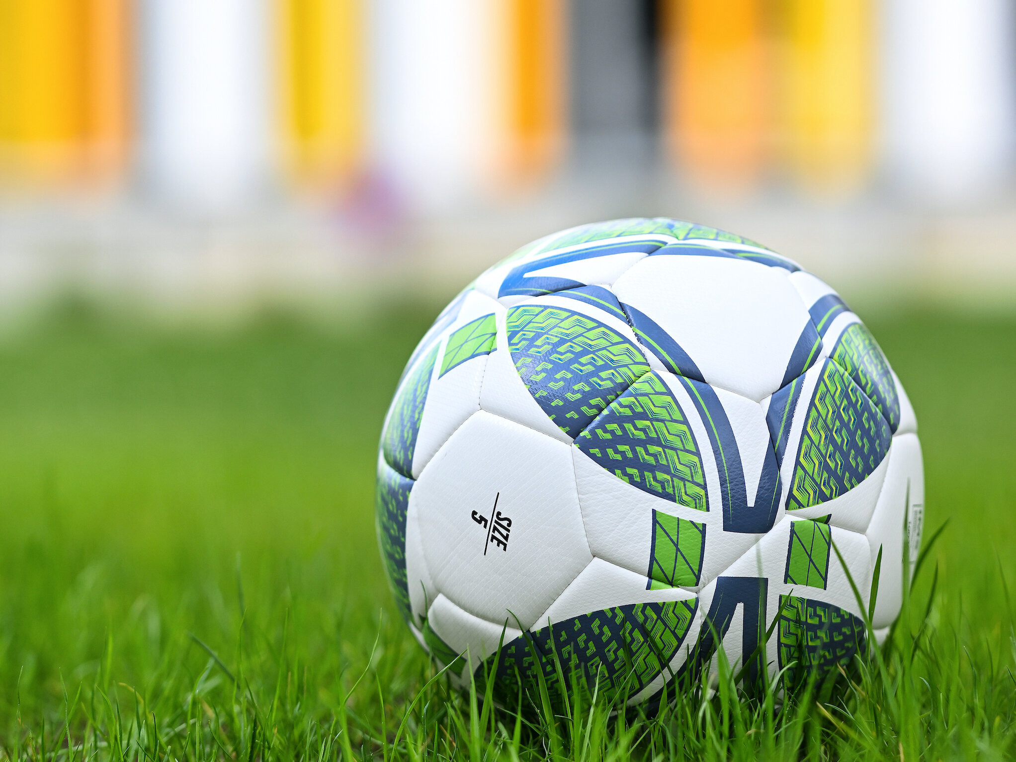 Ein weißer und grüner Fußball, der auf grünem Gras mit einem unscharfen Hintergrund ruht.