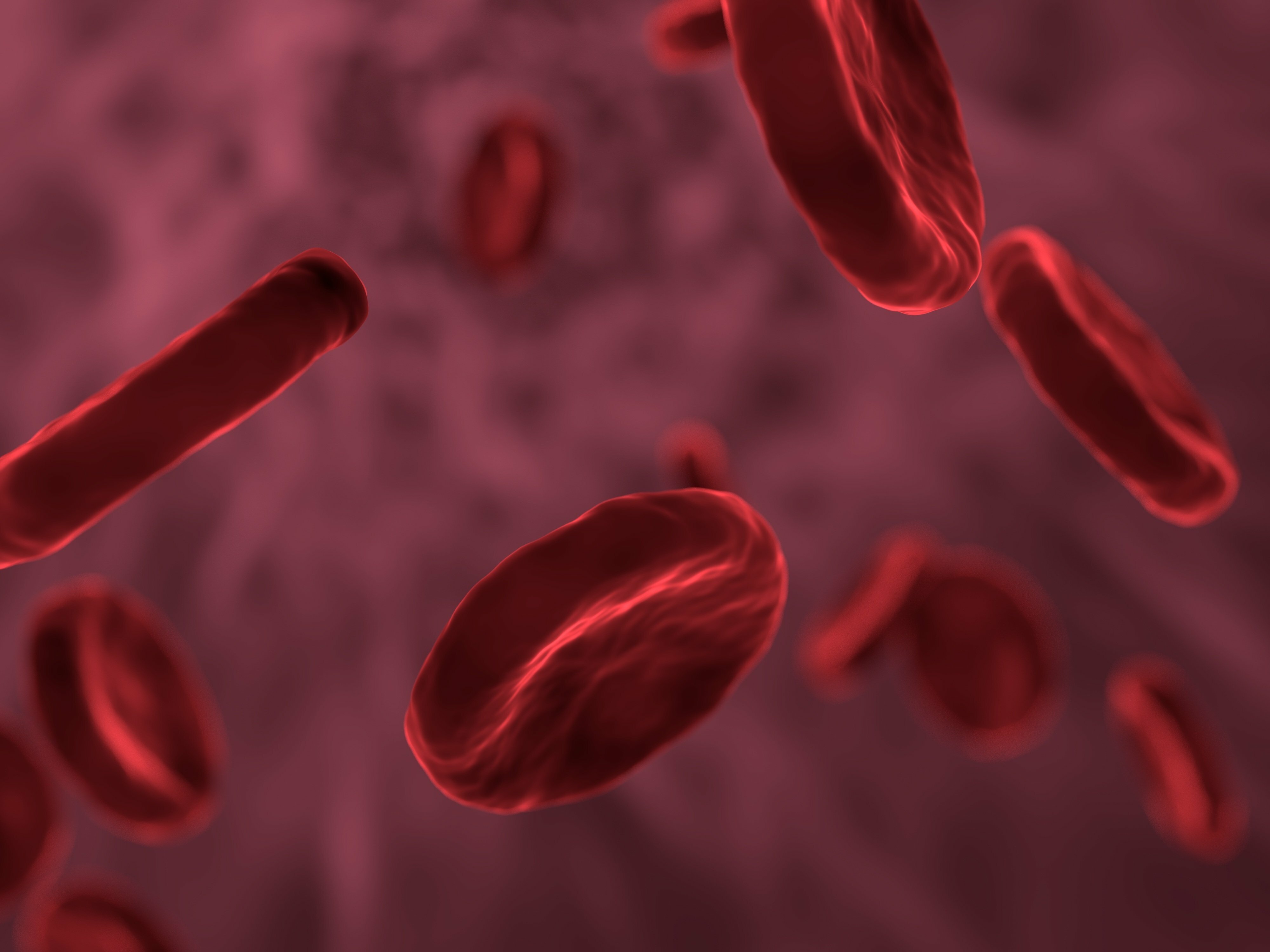 Rote Blutkörperchen